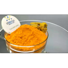 Undersun supply free sample bulk turmeric powder